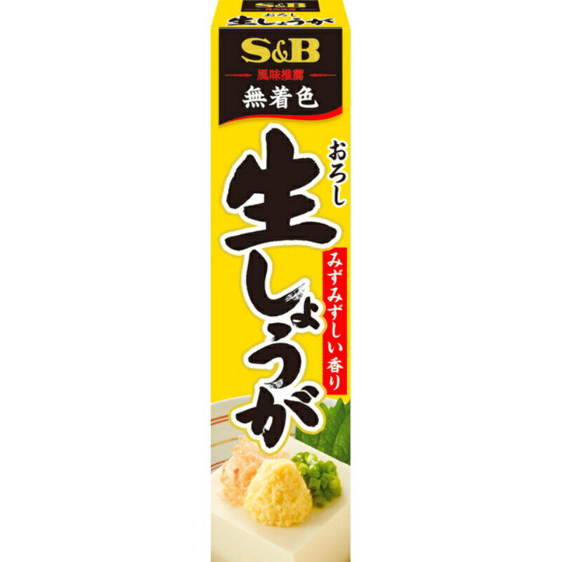 S&B エスビー N おろし生しょうが 40g×100個