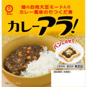 カレーアラ! カップ 120g×72個(12個×6箱)