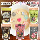 【1個ずつセット】【常陸屋本舗】カラふル ニャンふル シリーズ\\1個ずつセット(全5種類各1個ずつ)//(花/星/猫/ハート/星ナチュラル)保育園・保育所・幼稚園・小学校の給食などでいかがでしょう?