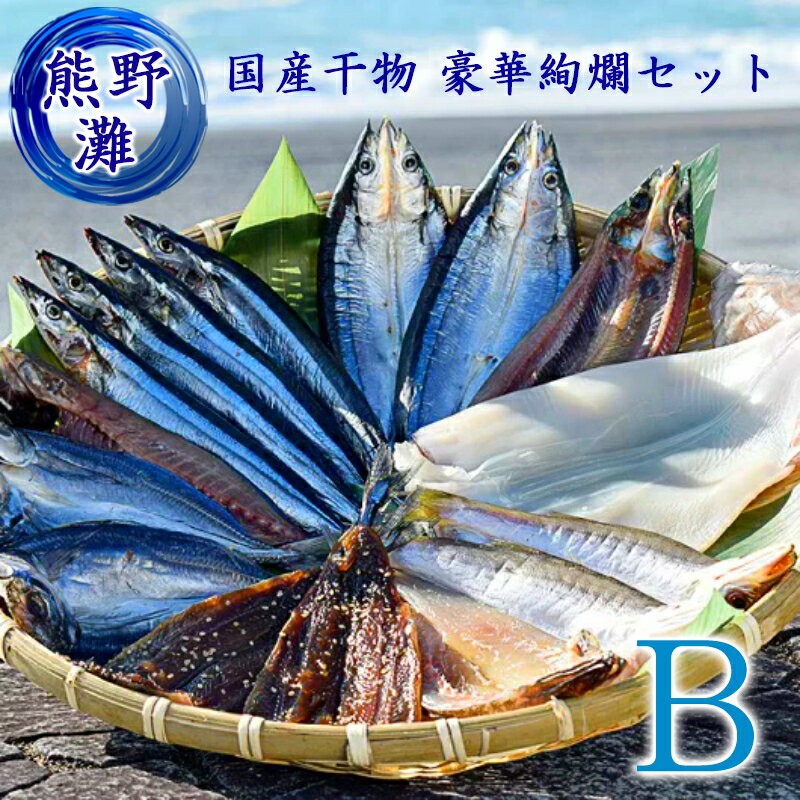 干物ギフト 【冷凍】熊野灘 干物 詰め合わせ ギフト 6種 約16食分 Bセット (国産 干物 セット ひもの 干物詰め合わせ 乾物 乾物 ギフト いか さんま かます あじ 太刀魚 ひらき 丸干し みりん干し 一夜干し 干物セット 送料無料 himono ひものセット 熊野特産)