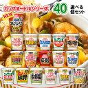 日清食品 カップヌードル 選べる40個セット (カップラーメ