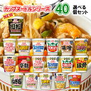 日清食品 カップヌードル 選べる40個セット (カップラーメ