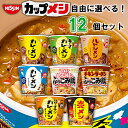 日清 カップご飯 選べる12個セット (カップ飯 カレーメシ