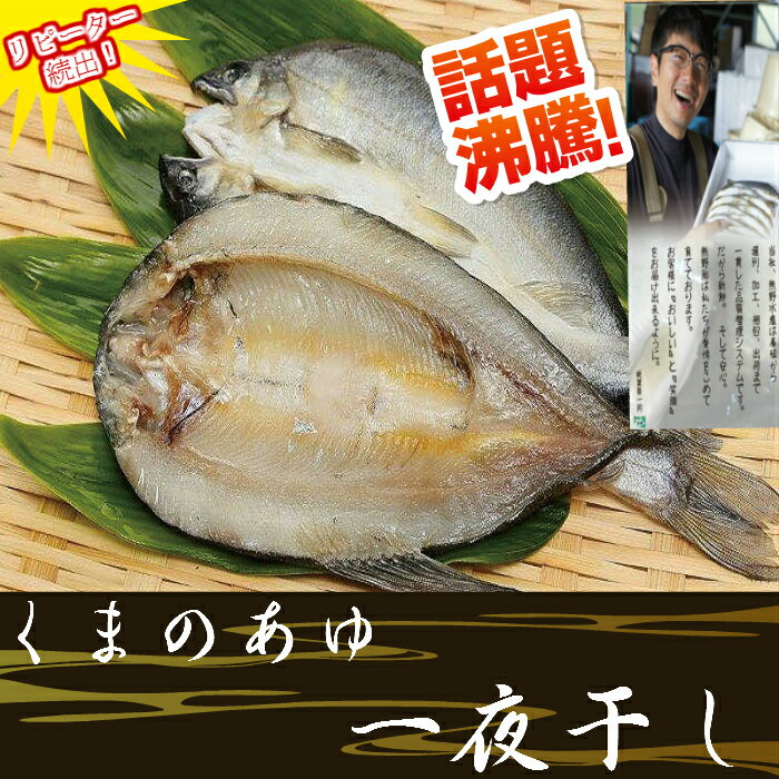 【ふるさと納税】天然鮎 約1kg あゆ アユ 魚 清流 川辺川 冷凍 甘露煮 塩焼き 九州産 相良村産 熊本県産 国産 送料無料