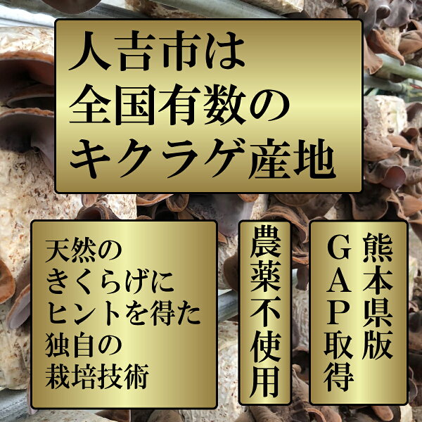 安心・安全の国内自社生産 くまのきのこ屋のきくらげ