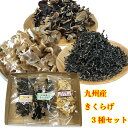 国産 乾燥 【 キクラゲ 3種セット 】各20g 3種 九州産 きくら...(4)