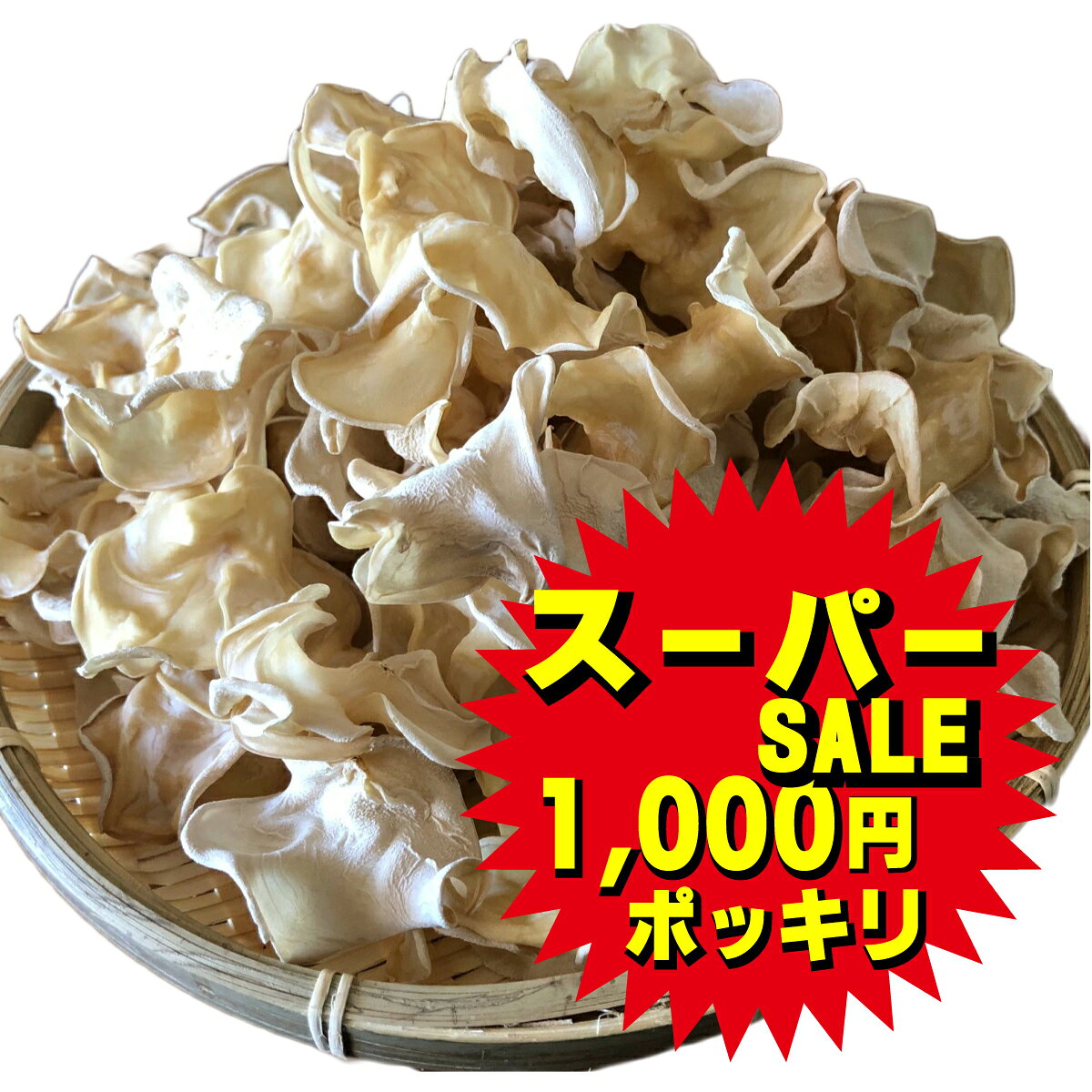 スーパーセール 1000円ポッキリ 国産 白 あらげ きくらげ 【 白アラゲキクラゲ 40g 】 白きくらげ 送料無料 熊本 人吉産 乾燥 人吉 人吉市 きくらげ キクラゲ 乾燥きくらげ 乾燥 きのこ 九州 熊本県 健康食品 乾燥キクラゲ 国産白きくらげ 白 白いきくらげ 美容