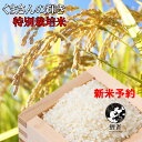 新米・令和7年産【 熊本産 くまさんの輝き 玄米10kg 】新米 業務用 中村幸二さんのお米 玄米10kg 米10キロ 当日精米 精米度が選べる 送料無料 ギフ...