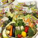 便利野菜【時短食材 6品+九州野菜】九州野菜は3~5品 野菜セット 送料無料 カット野菜 送料込 通販 野菜詰め合わせ 時短野菜 九州 お買い得 お試し コロナ...
