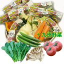 便利野菜【時短食材8品+九州野菜】九州野菜は3品〜5品 送料無料 カット野菜 送料込 通販 野菜セット 野菜詰め合わせ 時短野菜 九州 お買い得 お試し 対策 ...
