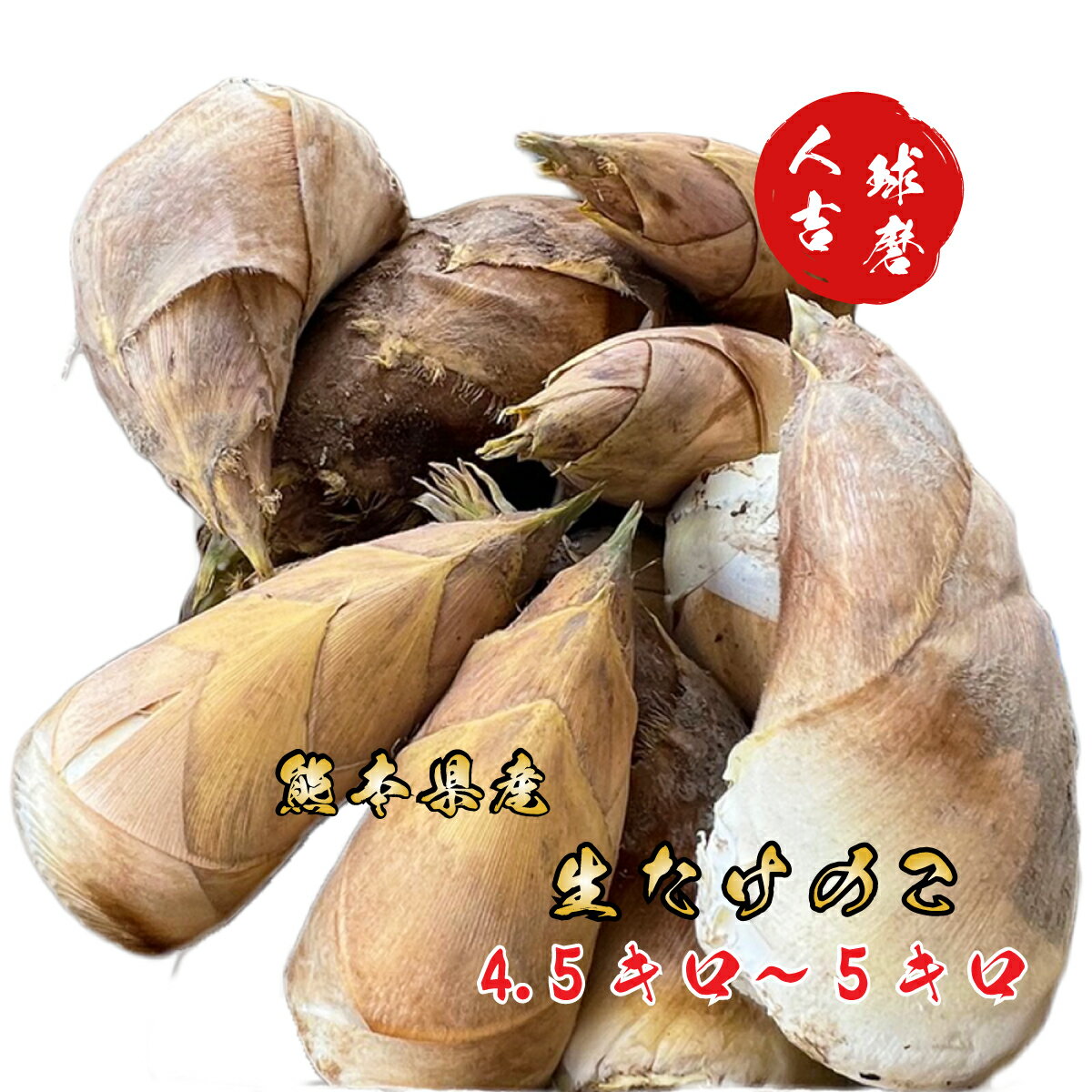 楽天市場】熊本 たけのこの通販 楽天市場】熊本 たけのこの通販