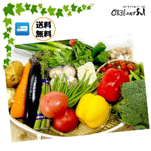 野菜のプロが選んだ新鮮野菜セット。九州産を中心に新鮮野菜と果物12...