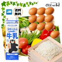 選べる【野菜と・乳製品・卵セット】野菜と果物 は12品以上 野菜セット ヨーグルト 牛乳 卵 九州 野菜詰め合わせ 野菜 卵 牛乳 お米 詰め合わせセット 詰合...