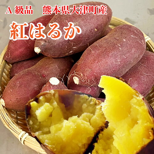 【紅はるか】1キロ 熊本県大津産 最高等級 A品（予約商品） 生芋【熟...