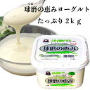 球磨の恵みヨーグルト2kg 人吉球磨の生乳を100％使用したヨーグルト 腸活 カゼイ菌 もっちり とろーり 国産 生乳 送料無料 熊本県産 朝ごはん お取り寄せグルメ簡単 国産 おいしい 美味しい ご当地【球磨の恵み2kg】 2