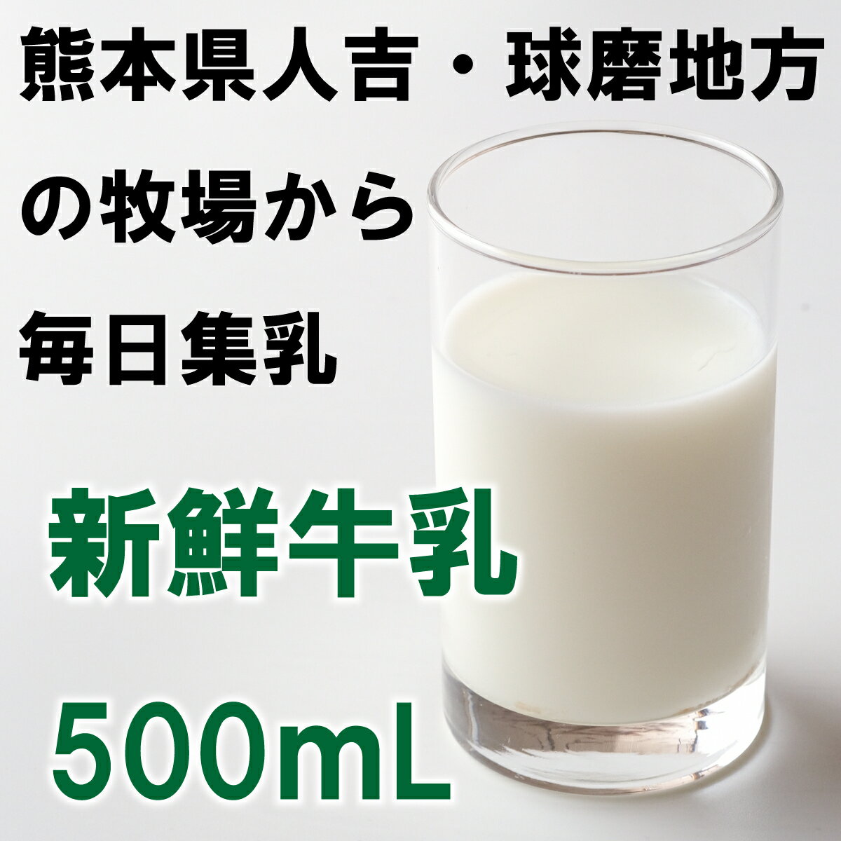【球磨酪農牛乳500mL】熊本県 人吉市 球磨...の紹介画像3