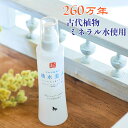 人吉おおが温泉化粧水 湧水美人200mL 【湧水美人】大賀温泉 熊本 温泉 化粧水 肌トラブル ニキビ にきび 吹き出物