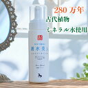 人吉おおが温泉 湧水美人 洗顔フォーム 200mL 【湧水美人洗顔フォーム】大賀温泉 熊本 温泉 化粧水 肌トラブル ニキビ にきび 吹き出物