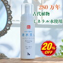 人吉おおが温泉 湧水美人 洗顔フォーム 200mL 【湧水美人洗顔フォーム】大賀温泉 熊本 温泉 化粧水 肌トラブル ニキビ にきび 吹き出物