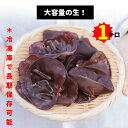 生きくらげ 国産 大容量1キロ 送料無料 食物繊維豊富 ビタミンD きくらげ 健康効果 キクラゲ きのこ 訳あり 乾燥きのこ オーガニック 無農薬 スーパーフー...