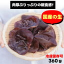 生きくらげ国産360g （90g×4パック）食物繊維豊富 世界遺産の地和歌山県産 無農薬 通年栽培で毎日が旬 肉厚ぷりっぷりの新食感 出荷規..