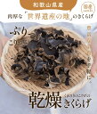 訳あり 国産生きくらげ乾燥大容量500g ビタミンD 食物繊維豊富 世界遺産の地和歌山県産 無農薬 通年栽培で毎日が旬 肉厚ぷりっぷりの新食感 当店出荷規格外の生きくらげを乾燥させたもの（破れ、色が悪い、形が悪い、肉厚が薄いなど） くまのきのこラボ 2