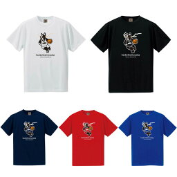 basketball_junky/バスケットボールジャンキー バスケットボール トップス [bsk23b20k ZONE1ストレッチDryTEE] 半袖_Tシャツ_練習着_キッズ_ジュニア_子供サイズ_ミニバス 【ネコポス対応】