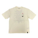 JORDAN/ジョーダン バスケットボール トップス [dv2451-133 ZIONシーズナルS/STシャツ] ジョーダン_JORDAN_半袖Tシャツ_半袖_Tシャツ_ザイオンウィリアムソン 【ネコポス可】