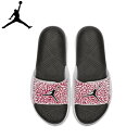 NIKE/ナイキ バスケットボール バスケットシューズ [bq6290-106 ジョーダン_ハイドロ_