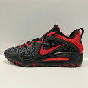 NIKE/ナイキ バスケットボール バスケットシューズ dm1054-003 KD15EP バッシュ_ケビン デュラント【ネコポス不可】