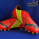 puma/プーマ サッカー スパイク [102947-01 エヴォパワー_2_HG] スパイク/人工芝 【ネコポス不可能】