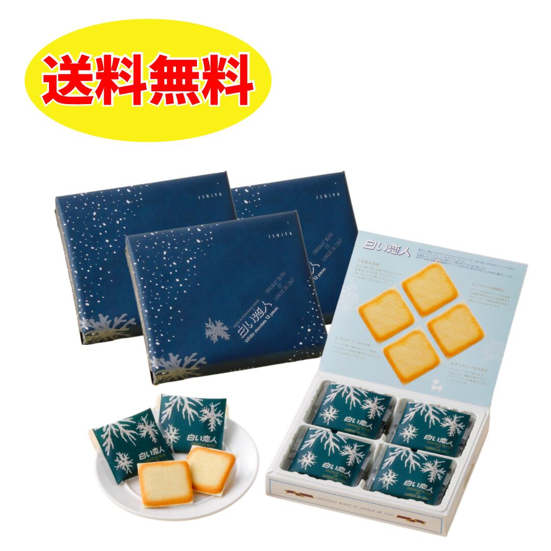 ISHIYA 白い恋人(12枚入)×3個セット