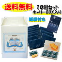 ISHIYA 白い恋人(18枚入)×10個セット キャリーボックス入り