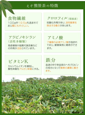 送料無料えぞ熊笹茶しっかりお得な1か月分(2g×60パック)くまささ/くまざさ/クマササ/クマザサ/粉末/くま笹/クマ笹福袋北海道