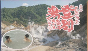 湯の華 北海道登別温泉　地獄谷産湯の花　20パック入り1箱 あるある大辞典