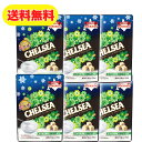 北海道生食感チェルシーヨーグルトスカッチ味 1袋90g ×6袋 送料無料 北海道限定