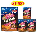 チェルシー 生キャラメルガナッシュ バタースカッチ味 北海道限定 1袋21粒入り(90g) 4袋セット 送料無料