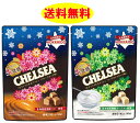 北海道限定 チェルシー 生キャラメルガナッシュ バタースカッチ味 1袋21粒入り(90g) ヨーグルトスカッチ味 1袋21粒入り(90g) 2袋セット 送料無料