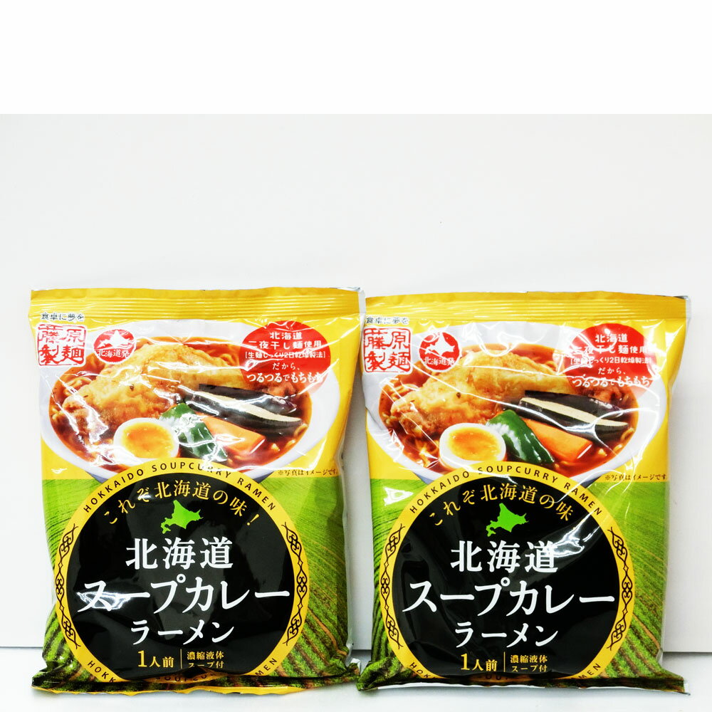 【お試し価格】これぞ北海道の味！北海道スープカレーラーメン2袋【送料無料】