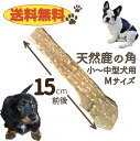 【送料無料】鹿角 Mサイズ 1本 ペット 犬 おやつ 鹿の角 犬 噛む 歯石 口臭 ストレス解消 おもちゃ デンタルケア 歯石取り 歯磨き お留守番 しか ツノ