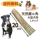 【送料無料】鹿角 Lサイズ 1本 ペット 犬 おやつ 鹿の角 犬 噛む 歯石 口臭 ストレス解消 おもちゃ デンタルケア 歯石取り 歯磨き お留守番 しか ツノ