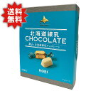 北海道練乳CHOCOLATE HORI 北海道 チョコレート ホリ バレンタイン 送料無料
