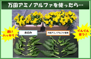 【送料無料!】アイリスオーヤマ 万田アミノアルファ 1L 野菜はよりおいしく、花はより美しく