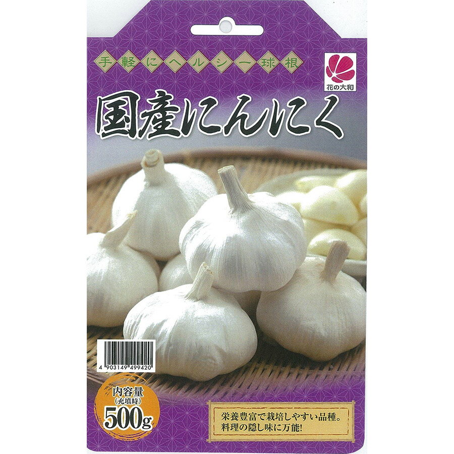 【送料無料！】花の大和 球根 にんにく　国産　500g 手軽にヘルシー、家庭菜園