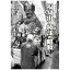 【送料無料！】【本】樹林舎 写真アルバム (京都府) 福知山・綾部の昭和 ふるさとの昭和時代の思い出が600枚の写真でよみがえる。