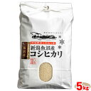 【送料無料！】【令和3年度新米】八色物産 雪室貯蔵南魚沼産コシヒカリ塩沢地区慣行栽培米 5kg甘味が強く、しっかりした味わいのコシヒカリ