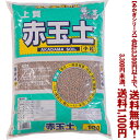 【条件付き送料無料!】【あかぎシリーズ】赤玉土 小粒 10Lよりどり選んで、3,300円以上送料無料!