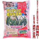 【条件付き送料無料!】【あかぎシリーズ】サンスベリア・金のなる木の土 5Lよりどり選んで、3,300円以上送料無料!
