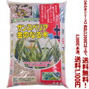 【条件付き送料無料!】【あかぎシリーズ】サンスベリア・金のなる木の土 14Lよりどり選んで、3,300円以上送料無料!