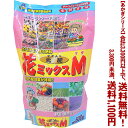 【条件付き送料無料!】【あかぎシリーズ】花ミックスマグ 500gよりどり選んで、3,300円以上送料無料!